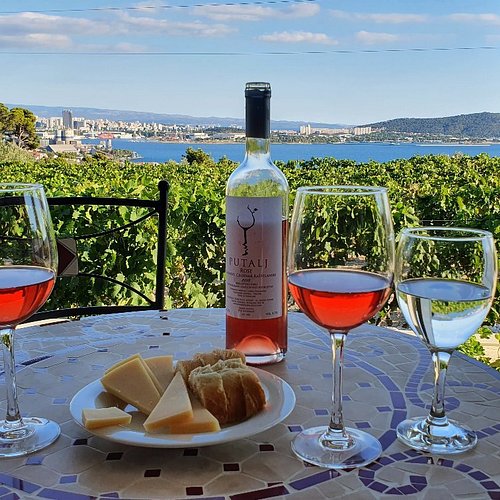 Dalmatian Wine Tasting